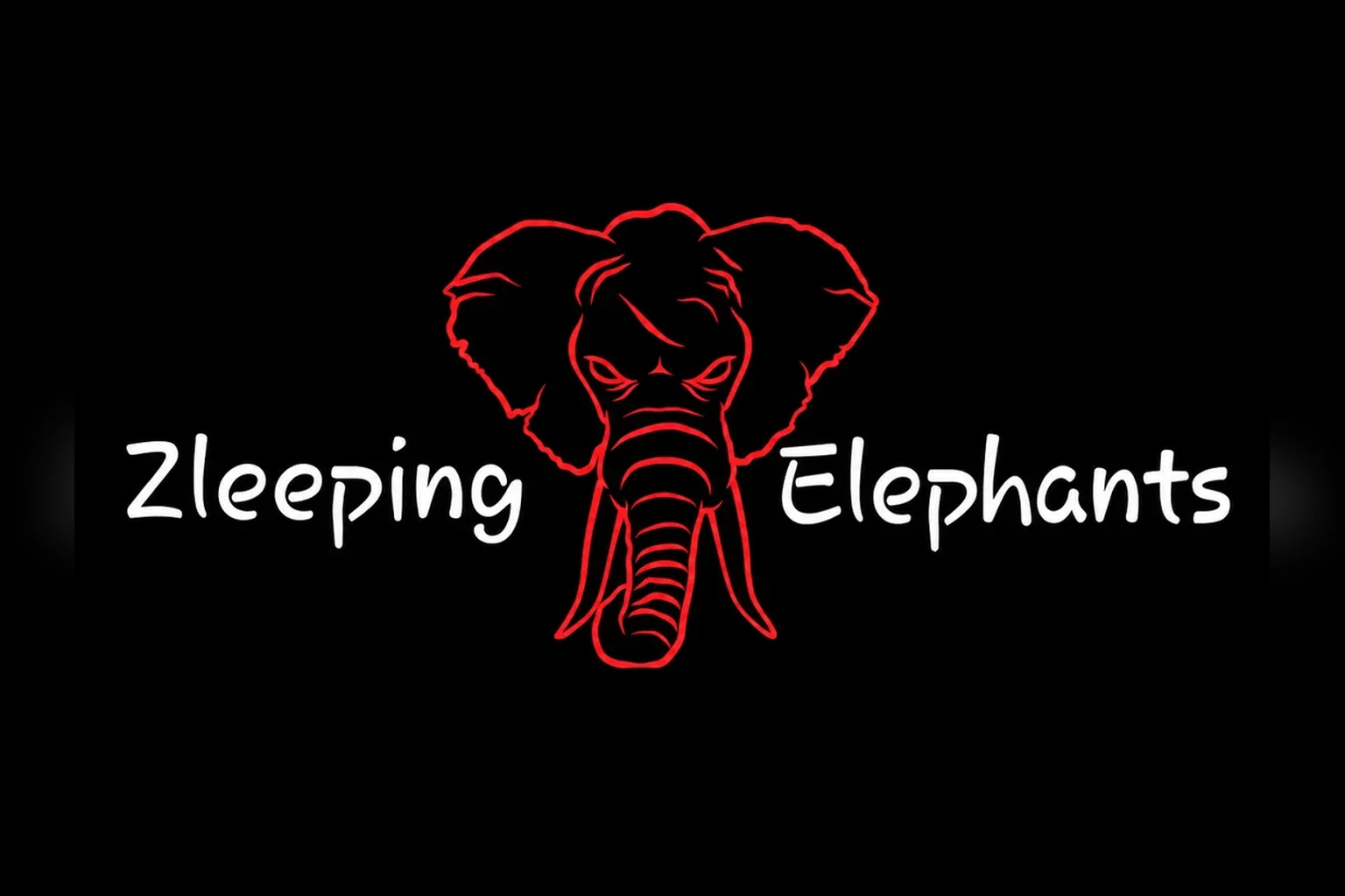 Konzertbild: Zleeping Elephants (CH) & Support